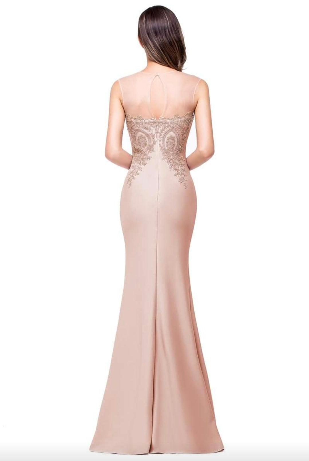 Nude Embroidery Long Gown