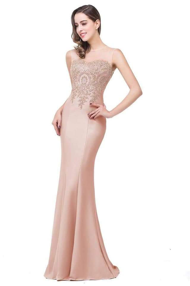 Nude Embroidery Long Gown