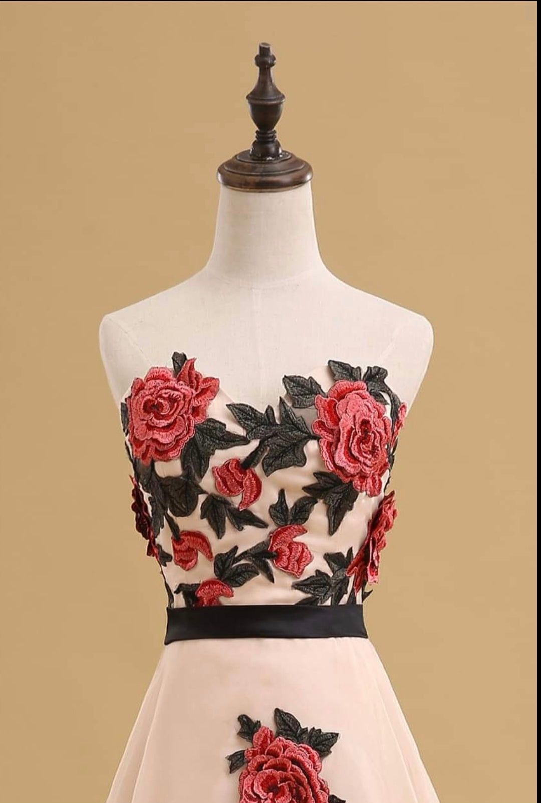 Rose Embroidered Nude Gown