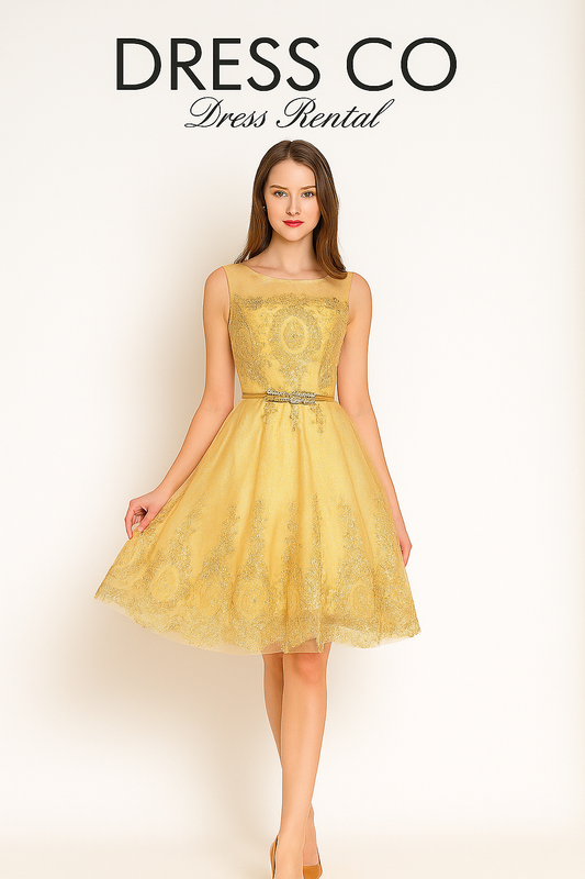 Gold Cream Sleeveless Embroidered A-Line Dress